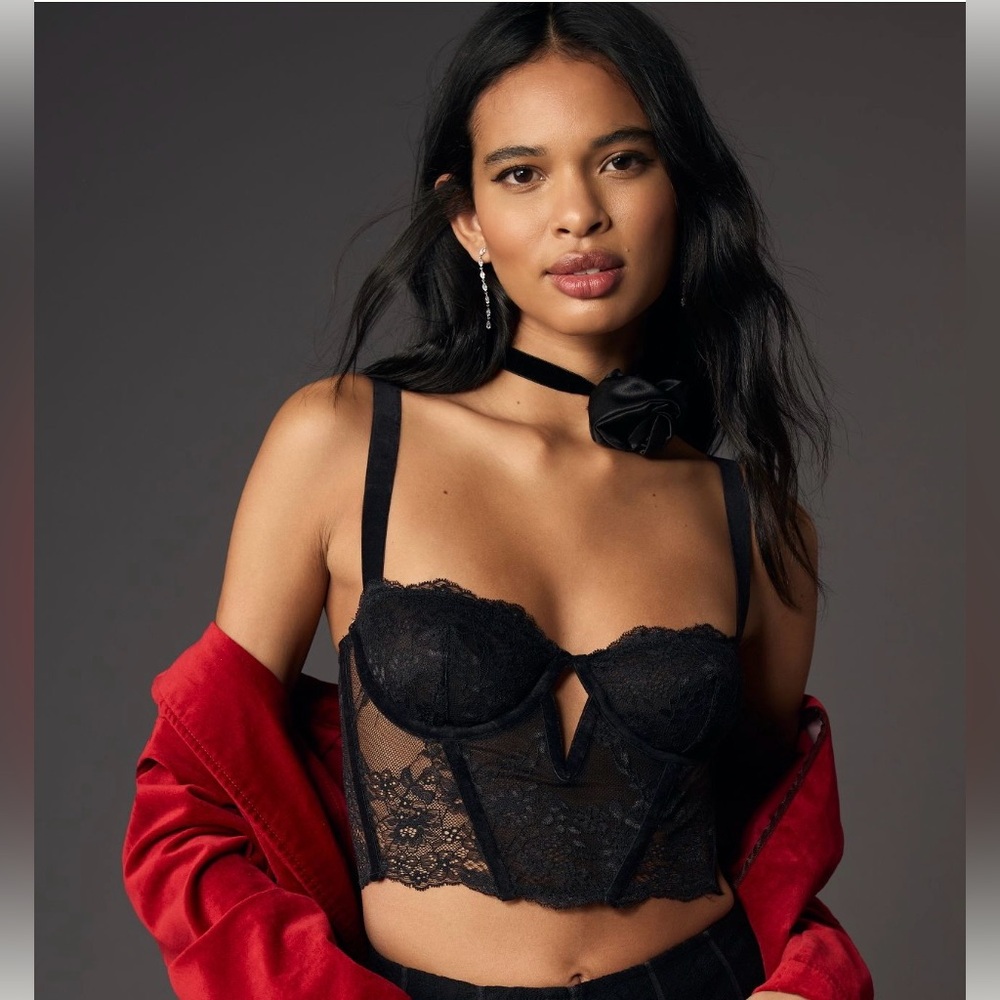 Anthropologie Lace Velvet Corset Top NWT